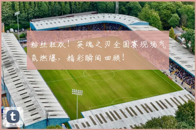 粉丝狂欢！英魂之刃全国赛现场气氛燃爆，精彩瞬间回顾！