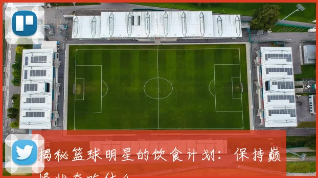 揭秘篮球明星的饮食计划：保持巅峰状态吃什么