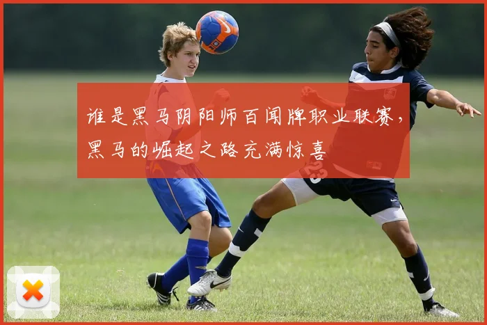谁是黑马阴阳师百闻牌职业联赛，黑马的崛起之路充满惊喜
